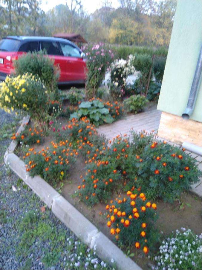 Agropensiunea Cetatuia Luncavita Esterno foto