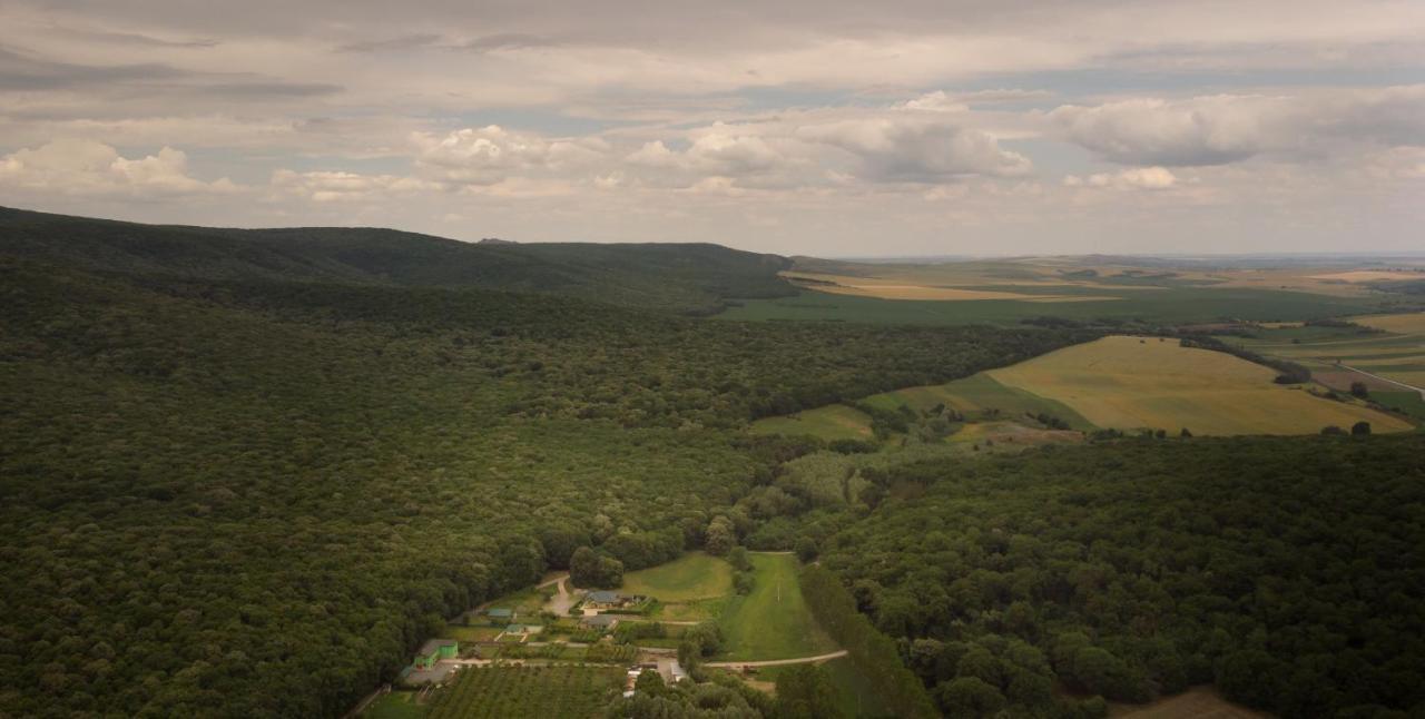 Agropensiunea Cetatuia Luncavita Esterno foto