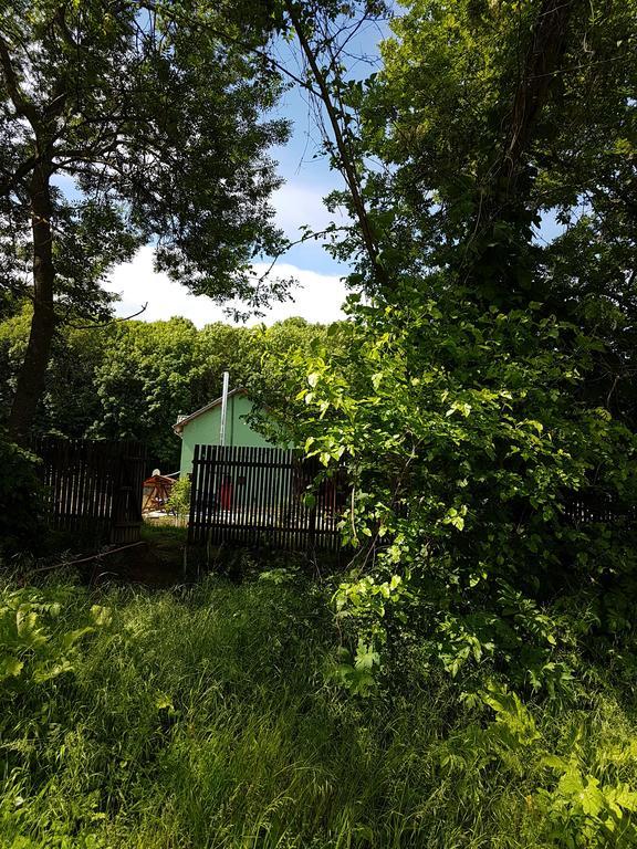Agropensiunea Cetatuia Luncavita Esterno foto