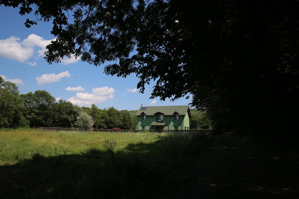 Agropensiunea Cetatuia Luncavita Esterno foto
