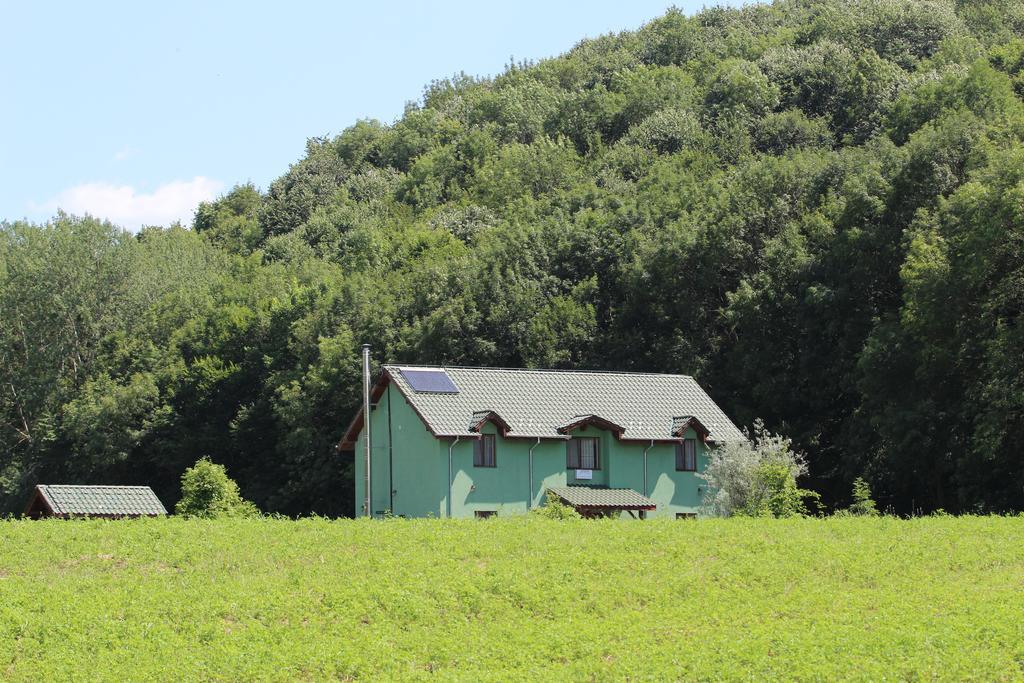 Agropensiunea Cetatuia Luncavita Esterno foto