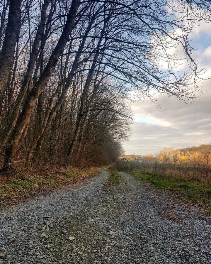 Agropensiunea Cetatuia Luncavita Esterno foto