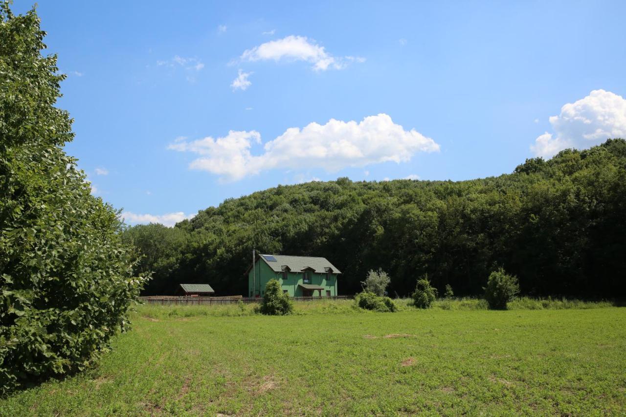 Agropensiunea Cetatuia Luncavita Esterno foto