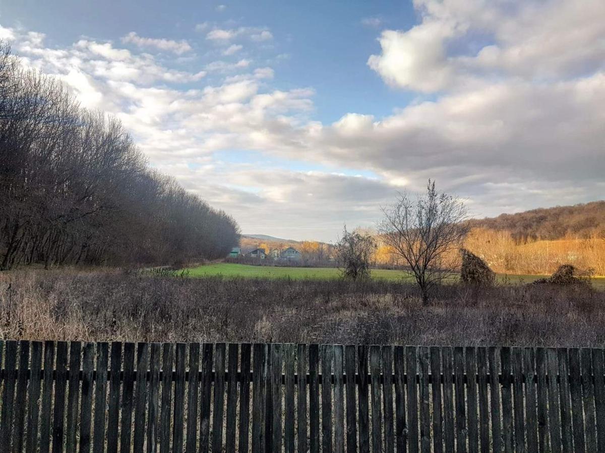 Agropensiunea Cetatuia Luncavita Esterno foto